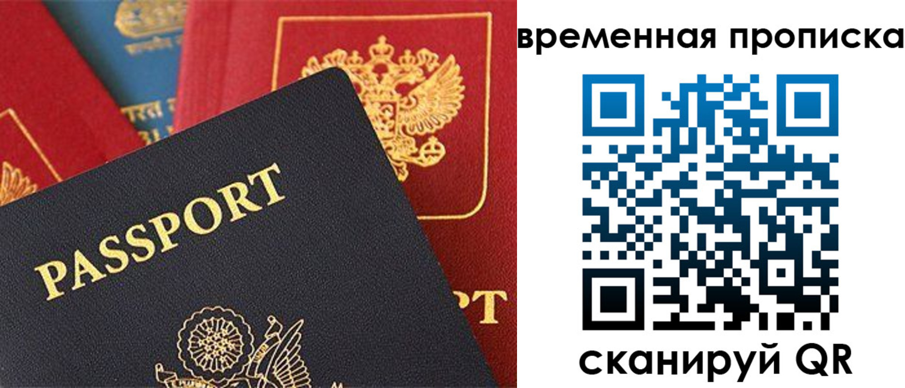 прописка для школы в Болотном